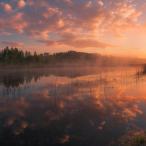 Зеркало лета