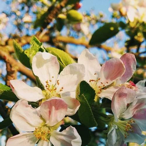 Loveliness around us