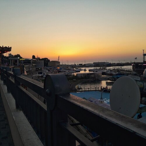 Photo #2312658