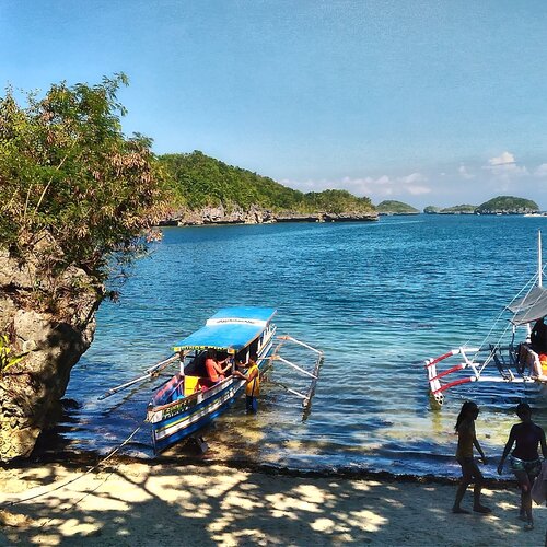 Siesta Shoreline