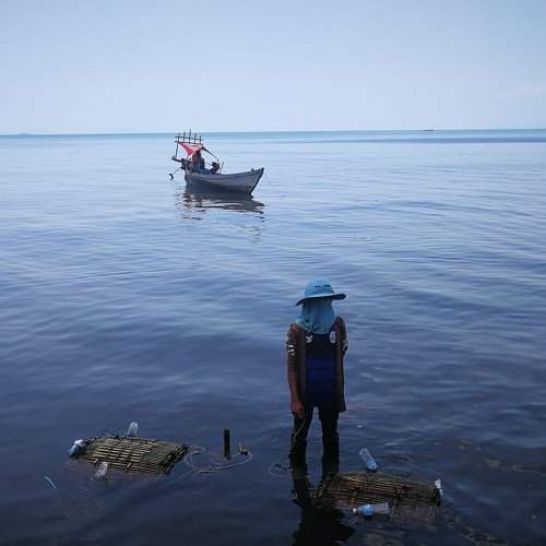 Life on the sea