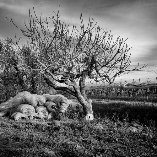 abandoned country