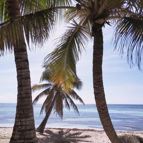 Photo #2317618