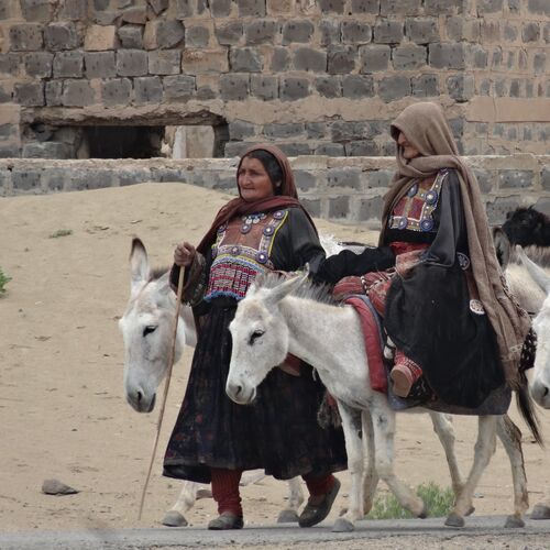 Nomads Caravan
