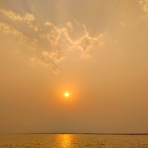 Sunset Delight