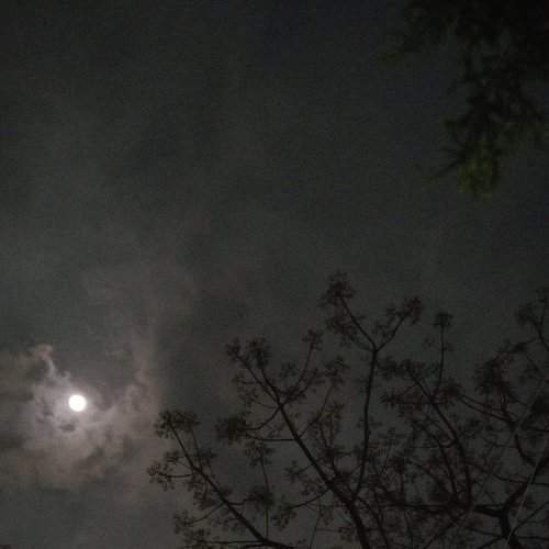 moon's reflection