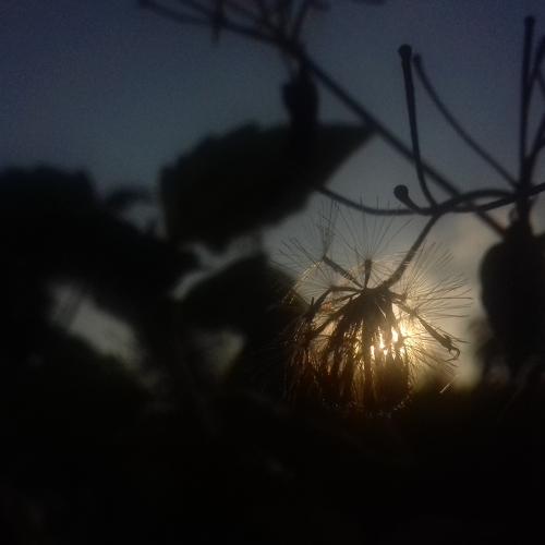 GOODEVENING
