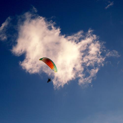 Fly