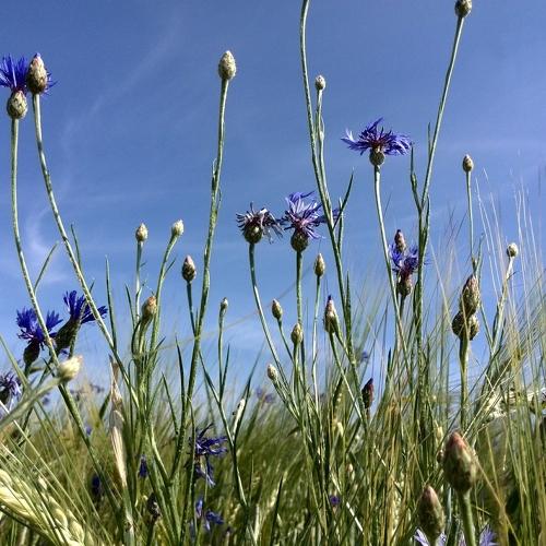 Photo #2323014