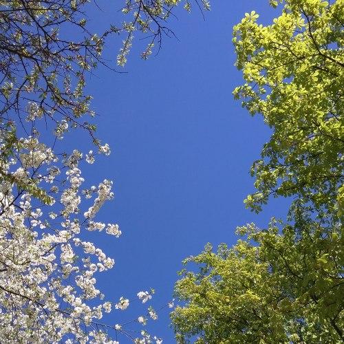 Зустріч весни з літом