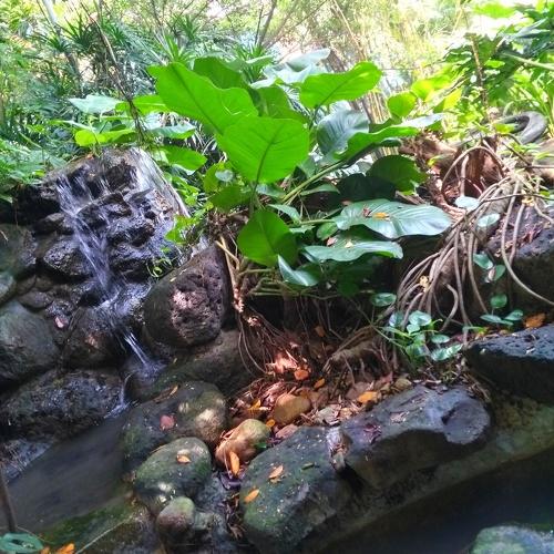 small fountain