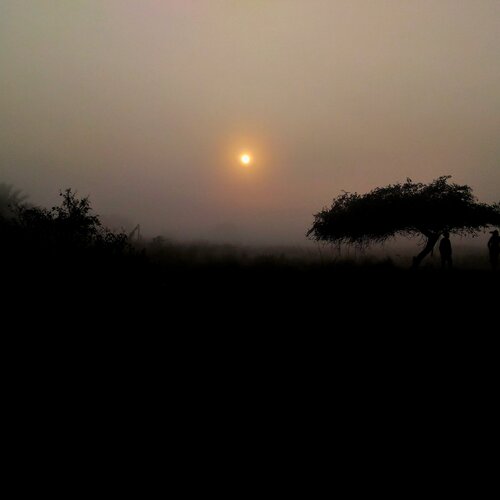 Sundorbon.Bangladesh