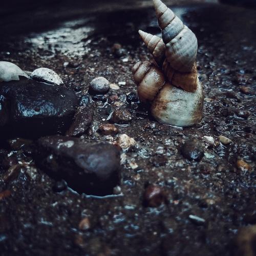 Seashore