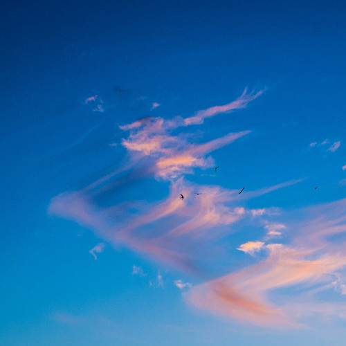 Фантазія
