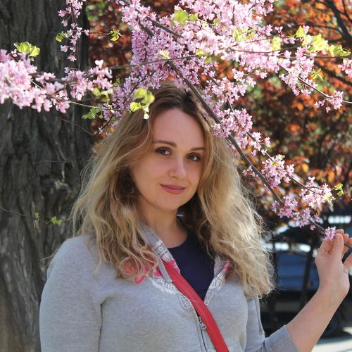 Photo #2327620