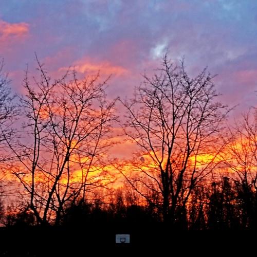 Sunrise