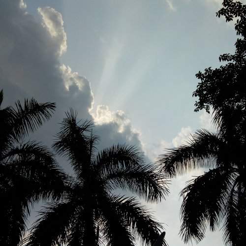 LIGHT OF HOPE