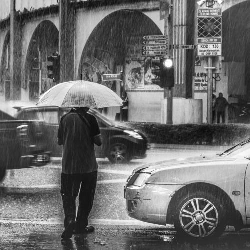 Rainy day!!