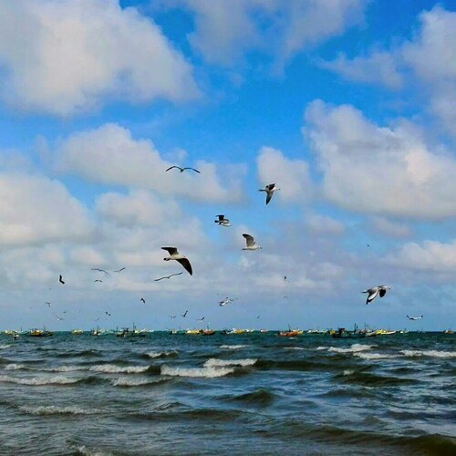 Lanka Sea