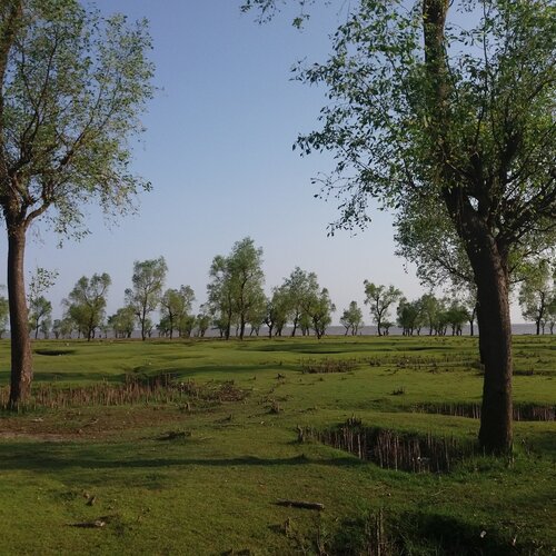 Photo #2329981