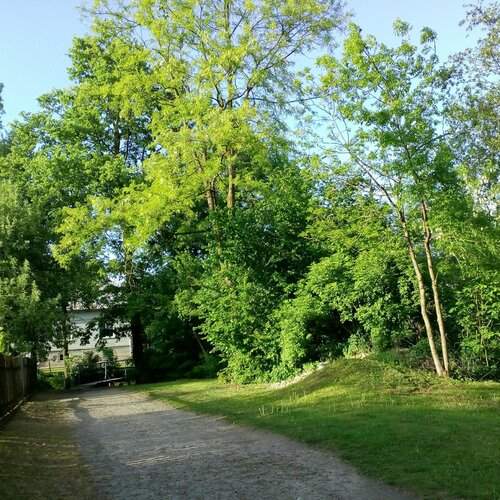 Green nature