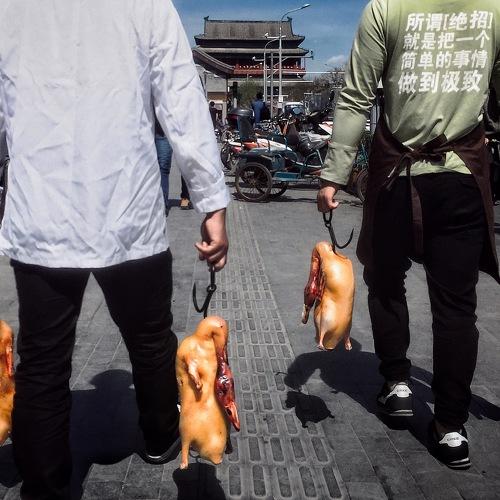 DUCK OFF