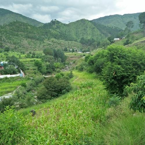 Beautifull veiw Tatar Syedan Mansehra Pakistan