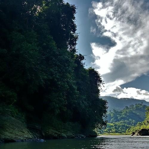 The silence of nature is very real. It surrounds you…you can feel it.