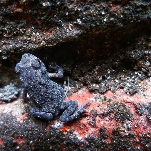 Photo #2332660