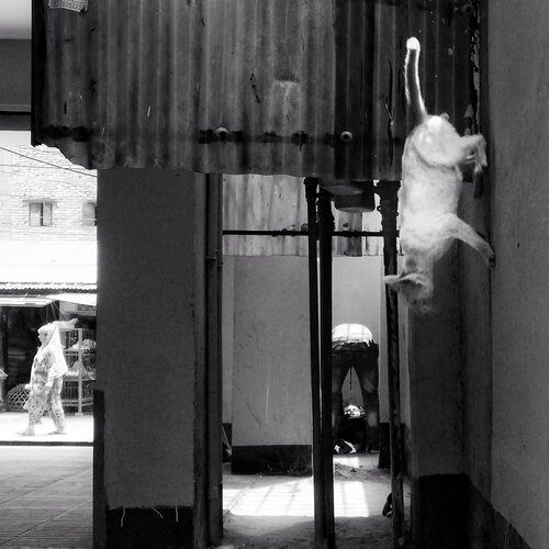 Haunted