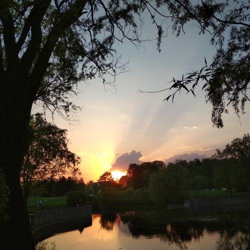 Photo #2334922