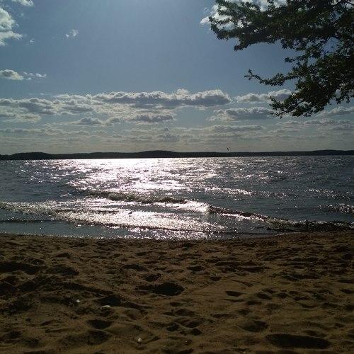 Photo #2335151