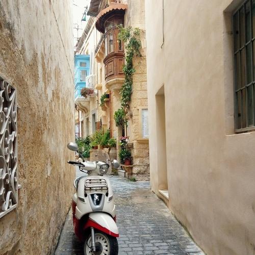 Photo #2335859
