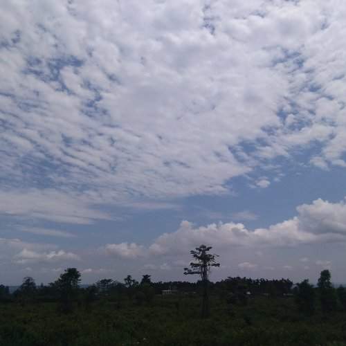 Couldn't ignore clouds
