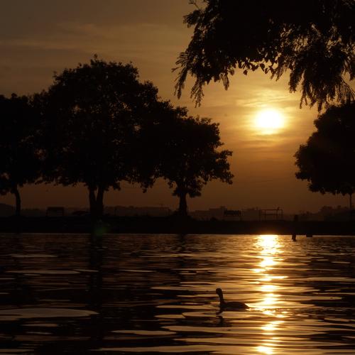 Photo #2337031