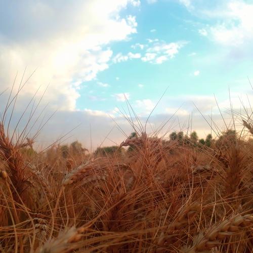 Nature &sky