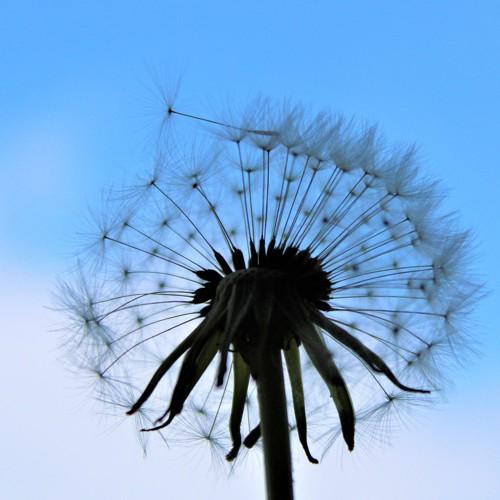 Photo #2339207