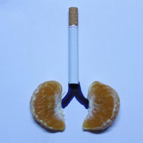 || SMOKING AND LUNGS ||