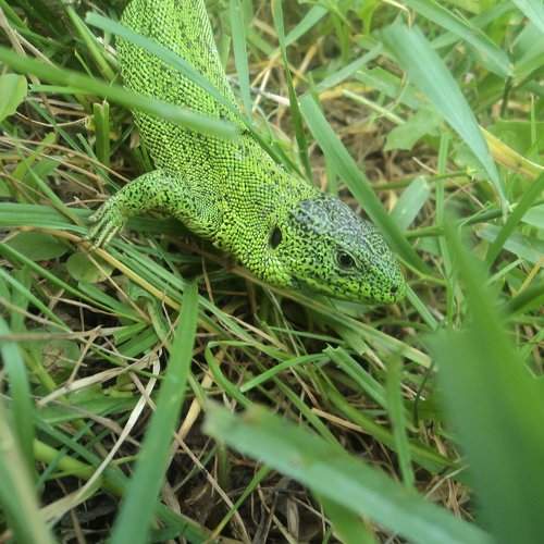 Photo #2339880