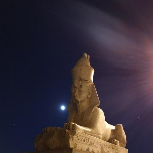 Photo #2340491