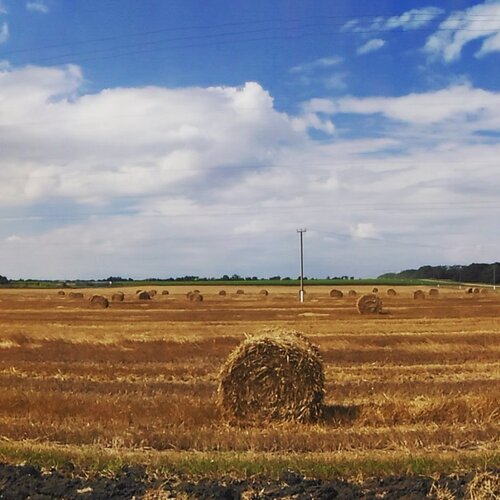 Photo #2340822
