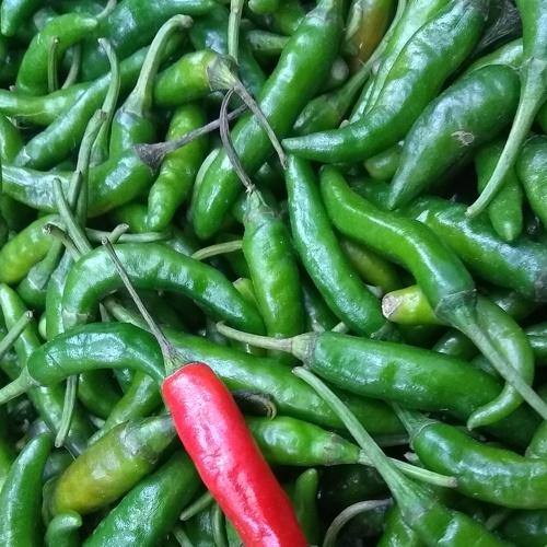 Green &red chillies