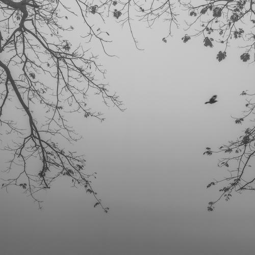 Waiting