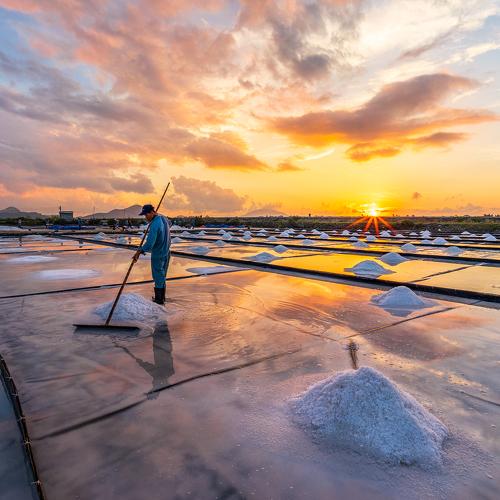 Salt harvest