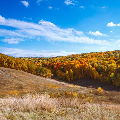 Безмятежность по русски