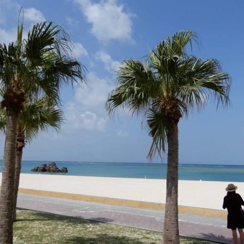 Photo #2343851
