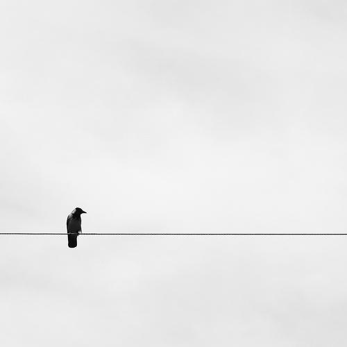 Photo #2343885
