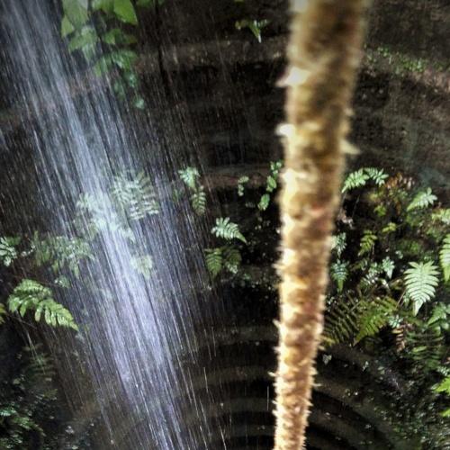 Monsoon refreshed