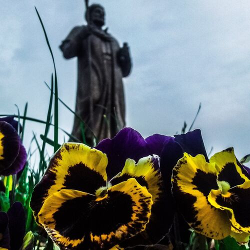 Цветы у ног Алишера Навои