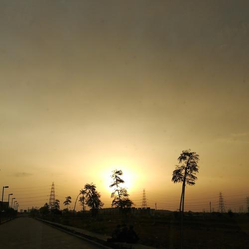 Sunset in urban jungle